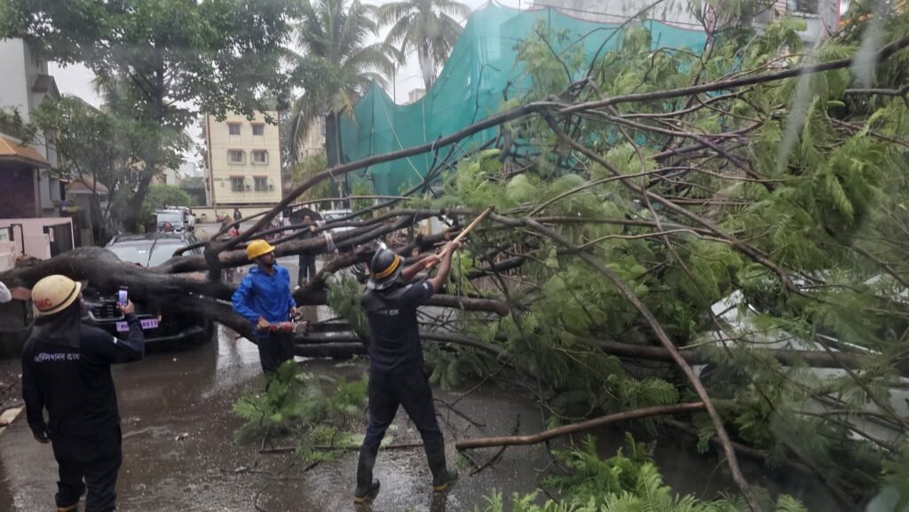 98bfb5ff-dc73-4a91-948d-c045c35da131