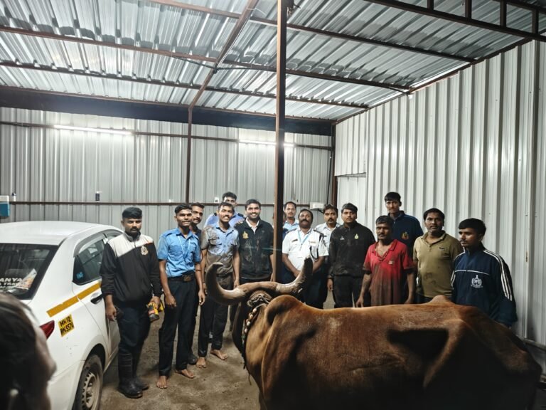 54e8b3be-e468-4f68-8cd9-66b3c7ee176b