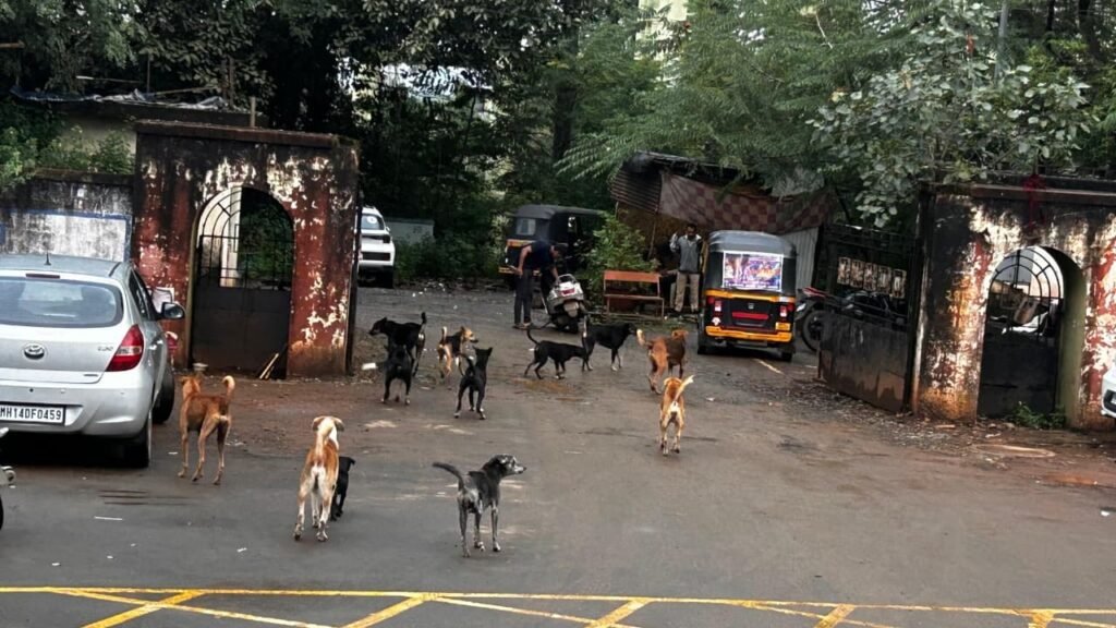 79bfed89-f6c2-4ab9-9871-ea65b867304b