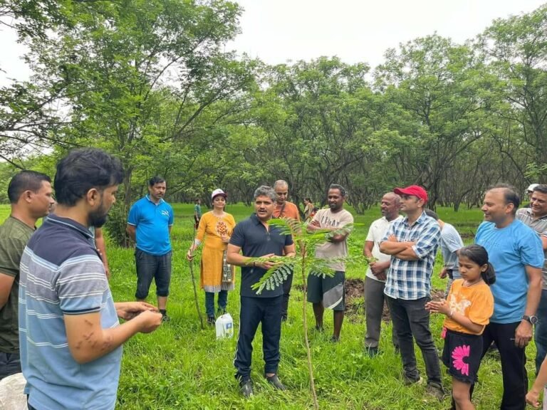 a1cb8650-fb21-4ca9-b7cb-a7b31e646dc5